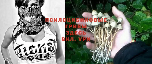 соль ск Няндома