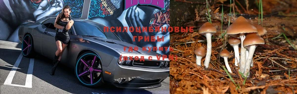 MESCALINE Нягань