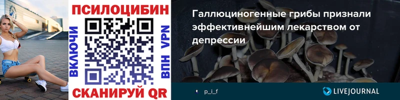 Псилоцибиновые грибы Psilocybe Барнаул