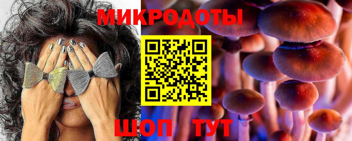 Псилоцибиновые грибы Psilocybe Барнаул