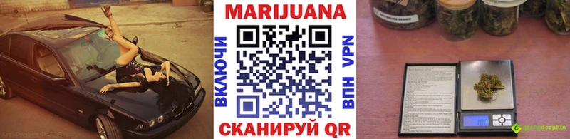 магазин  наркотиков  Барнаул  мега как войти  Бошки марихуана гибрид 